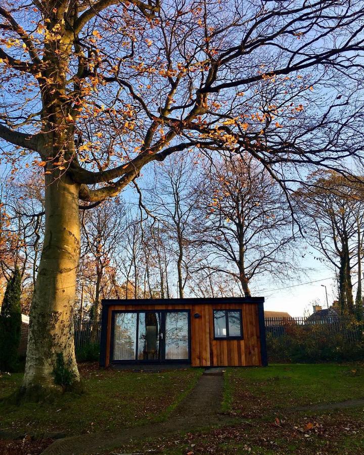 Cozy Snowdonia Chalet Villa Caernarfon Esterno foto